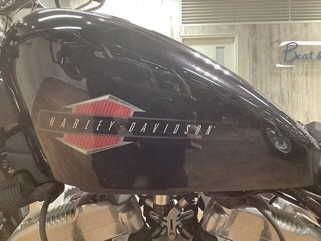 ハーレーダビッドソン XL1200X SPORTSTER FortyEight XL1200Xフォーティエイト■アレンネスエアクリーナー■デタッチャブルシーシーバー 10