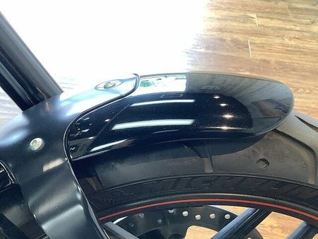 ハーレーダビッドソン VRSCDX NIGHTROD SPECIAL VRSCDX1250ナイトロッドスペシャル■サドルバック装備 25