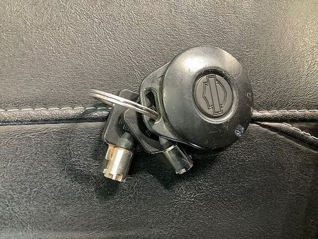 ハーレーダビッドソン VRSCDX NIGHTROD SPECIAL VRSCDX1250ナイトロッドスペシャル■サドルバック装備 8