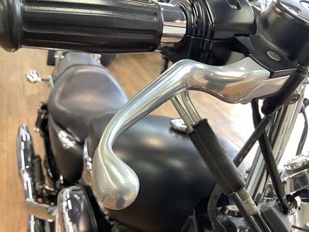 ハーレーダビッドソン XL1200CB SPORTSTER LIMITED XL1200CBカスタムリミテッドエディションB■ハンドルカスタム■バックレスト装備 19