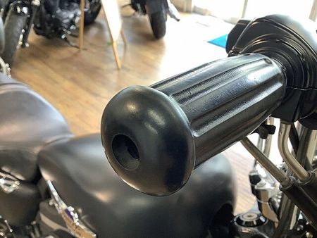 ハーレーダビッドソン XL1200CB SPORTSTER LIMITED XL1200CBカスタムリミテッドエディションB■ハンドルカスタム■バックレスト装備 20