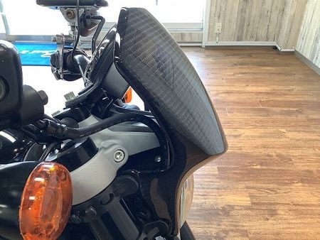 ハーレーダビッドソン XR1200 Sportster XR1200 オイルクーラー・カーボン製メータ―バイザー!! 23