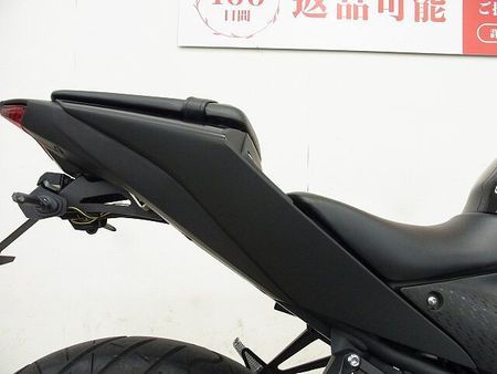 ヤマハ YZF-R25 YZF-R25 2020年モデル/プラナス製マフラー/シーケンシャルウィンカー/レバーカス 21