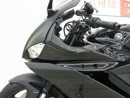 ヤマハ YZF-R25 YZF-R25 2020年モデル/プラナス製マフラー/シーケンシャルウィンカー/レバーカス 30