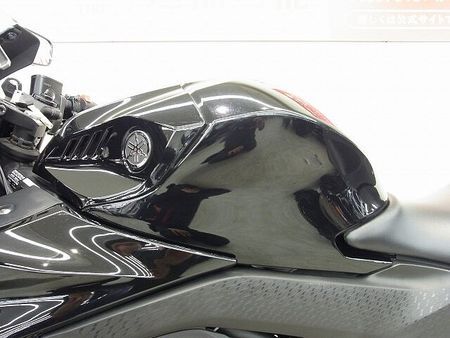 ヤマハ YZF-R25 YZF-R25 2020年モデル/プラナス製マフラー/シーケンシャルウィンカー/レバーカス 32