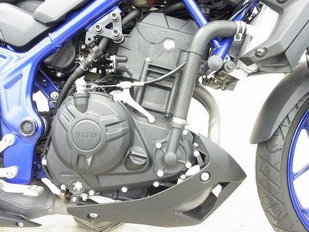 ヤマハ MT-25 MT-25 2016年モデル/プラナスサイレンサー/リヤキャリア/カーボン調チェーンカバー 16