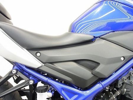 ヤマハ MT-25 MT-25 2016年モデル/プラナスサイレンサー/リヤキャリア/カーボン調チェーンカバー 17