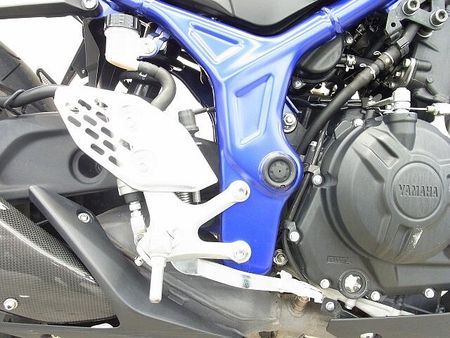 ヤマハ MT-25 MT-25 2016年モデル/プラナスサイレンサー/リヤキャリア/カーボン調チェーンカバー 18