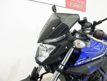 ヤマハ MT-25 MT-25 2016年モデル/プラナスサイレンサー/リヤキャリア/カーボン調チェーンカバー 26