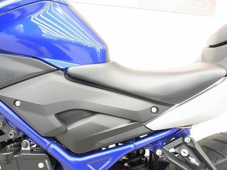 ヤマハ MT-25 MT-25 2016年モデル/プラナスサイレンサー/リヤキャリア/カーボン調チェーンカバー 33