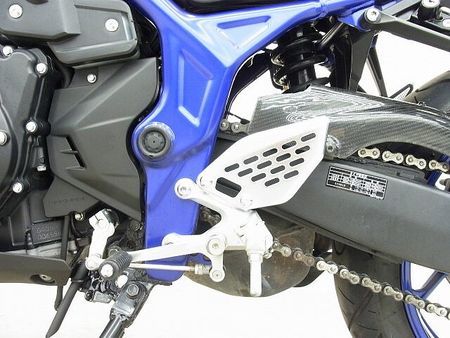 ヤマハ MT-25 MT-25 2016年モデル/プラナスサイレンサー/リヤキャリア/カーボン調チェーンカバー 34