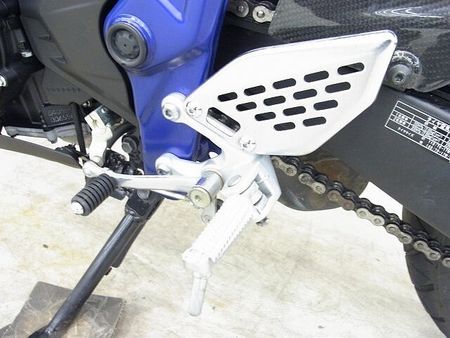 ヤマハ MT-25 MT-25 2016年モデル/プラナスサイレンサー/リヤキャリア/カーボン調チェーンカバー 35