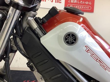 ヤマハ トリッカー トリッカー フルノーマル・カスタム次第でロードもダート走行可能!! 14