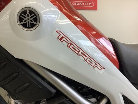 ヤマハ トリッカー トリッカー フルノーマル・カスタム次第でロードもダート走行可能!! 16