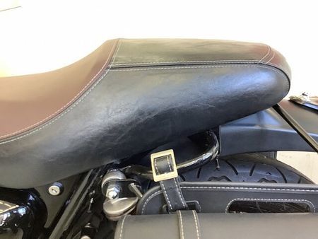 カワサキ W800 CAFE W800カフェ サイドバック装備 20