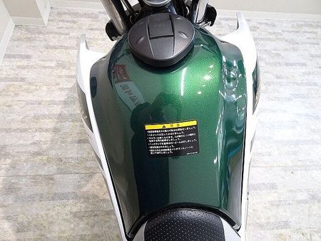 ヤマハ ツーリングセロー TOURING SEROW 2019年モデル/DELTA製マフラー装備/ナックルガード・ス 13