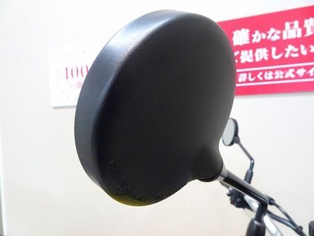 カワサキ Z900RS Z900RS Yellow Ball Edition 2024年モデル/エンジンスライダー 13