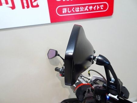 ヤマハ WR250X WR250X 2014年モデル/マルケジーニ キャストホイール/FMF Q4サイレンサー 15