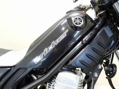 ヤマハ トリッカー Tricker 2005年モデル/フルノーマル車両 16