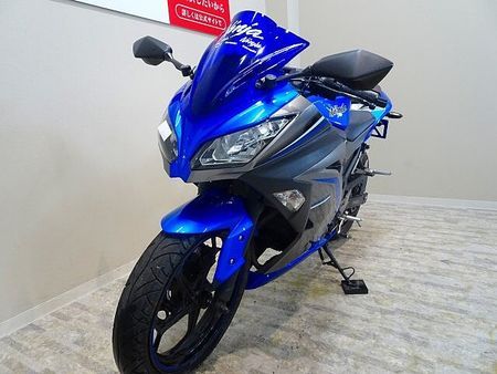 カワサキ ニンジャ 250 Ninja 250 ABS Special Edition 2016年モデル/ヨシムラ製マ 8