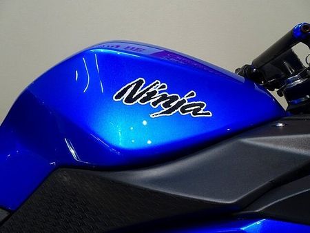 カワサキ ニンジャ 250 Ninja 250 2017年モデル/シフトインジケーター/リアキャリアステー装備 21
