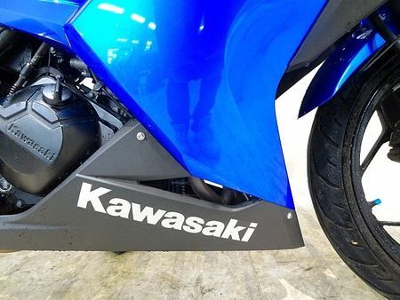 カワサキ ニンジャ 250 Ninja 250 2017年モデル/シフトインジケーター/リアキャリアステー装備 23