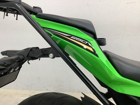 カワサキ ZX-25R Ninja ZX-25R SE 2021年モデル 37