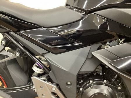 スズキ GSX250R GSX250R 2017年モデル マルチバー メットロック装備!! 15