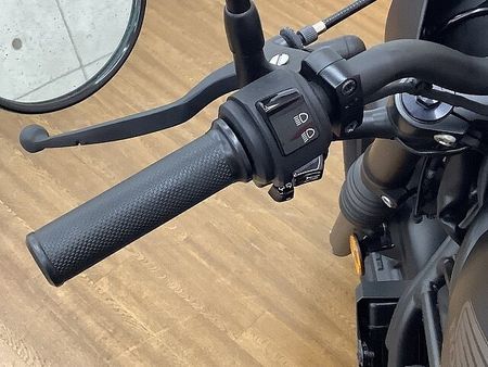 ホンダ レブル 250 REBEL 250 サイドバッグ付き!!! 31