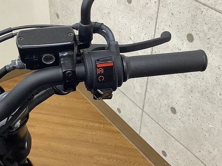 ホンダ レブル 250 REBEL 250 サイドバッグ付き!!! 32