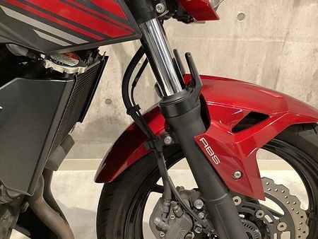 カワサキ Z250 Z250 2019年モデル アクティブ製ナンバーサイドウィンカー エンジンスライダー 電圧 11