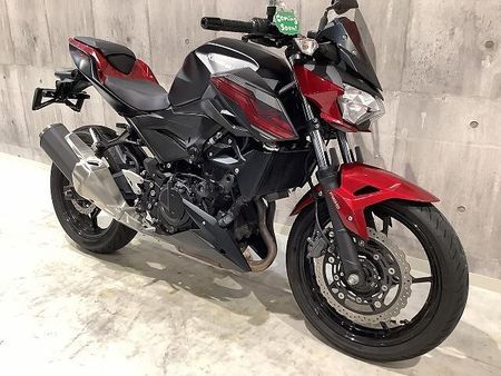 カワサキ Z250 Z250 2019年モデル アクティブ製ナンバーサイドウィンカー エンジンスライダー 電圧 5
