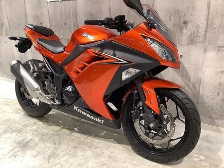 カワサキ ニンジャ 250 NINJA250 2016年モデル マルチバー装備 5