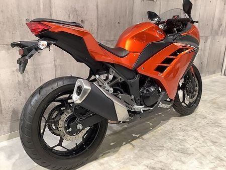 カワサキ ニンジャ 250 NINJA250 2016年モデル マルチバー装備 6