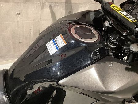 カワサキ VERSYS-X 250 ベルシス-X250 2018年モデル フルパニア エンジンガード フォグランプ装備!! 30