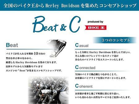 ハーレーダビッドソン XL883N SPORTSTER IRON XL883N アイアン・バッテリー新品・サイドバックサポート・サイドバック・ダークスモーク 8