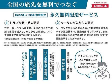 ハーレーダビッドソン XL883N SPORTSTER IRON XL883N アイアン・バッテリー新品・サイドバックサポート・サイドバック・ダークスモーク 9