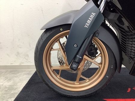 ヤマハ XMAX 250 XMAX アクセサリーバー・ローダウンサス・バックレスト・スモークウインカーレンズ装備車両 33