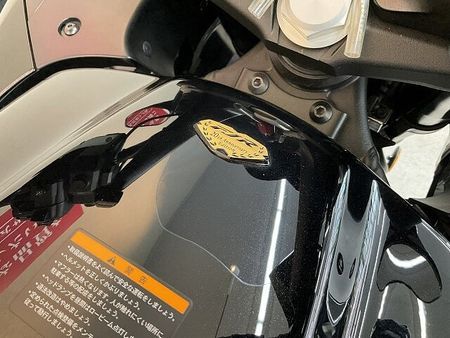 ヤマハ FJR1300AS FJR1300AS【20th Anniversary Edition】!! 18