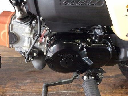 ホンダ モンキー モンキー 「猿」がモチーフのワイルドカラー 9
