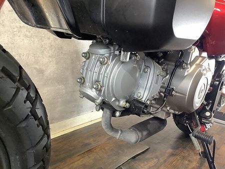 ホンダ モンキー125 モンキー125 2022年モデル 5速モデル 24