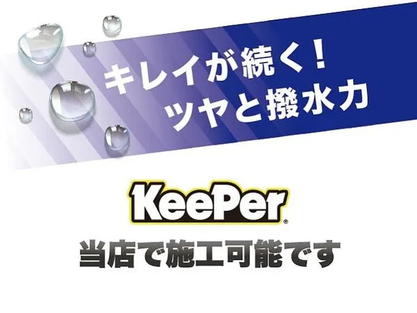 ヤマハ ドラッグスター 250 Drag Star 250 2008年モデル デイトナ製マフラー サドルバッグサポート 2
