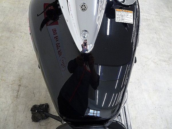 ヤマハ ドラッグスター 250 Drag Star 250 2008年モデル デイトナ製マフラー サドルバッグサポート 7