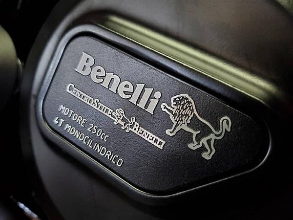 ベネリ Leoncino250 現車確認・対面販売をお願い致します。 10