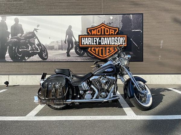 ハーレーダビッドソン FLSTS Softail Heritage Springer 1