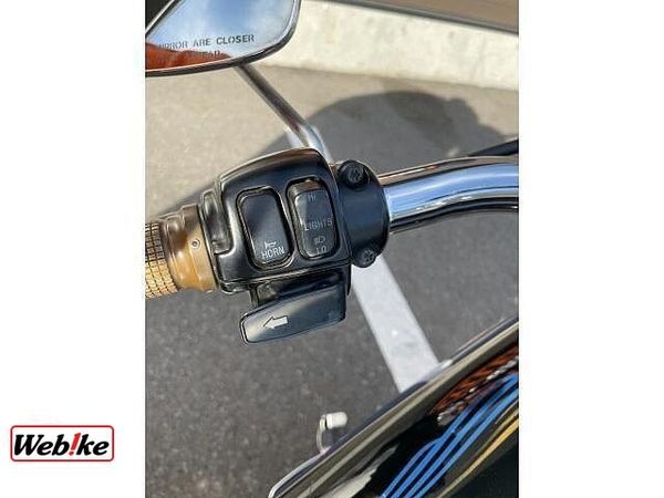 ハーレーダビッドソン FLSTS Softail Heritage Springer 10