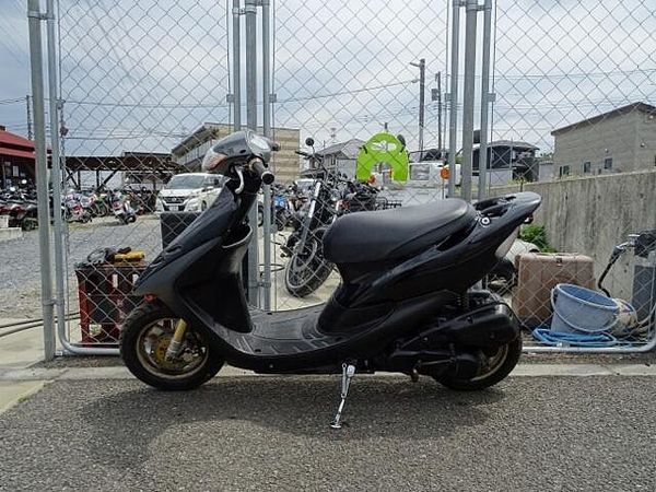 ホンダ ライブディオ ホンダライブDio入荷! 5