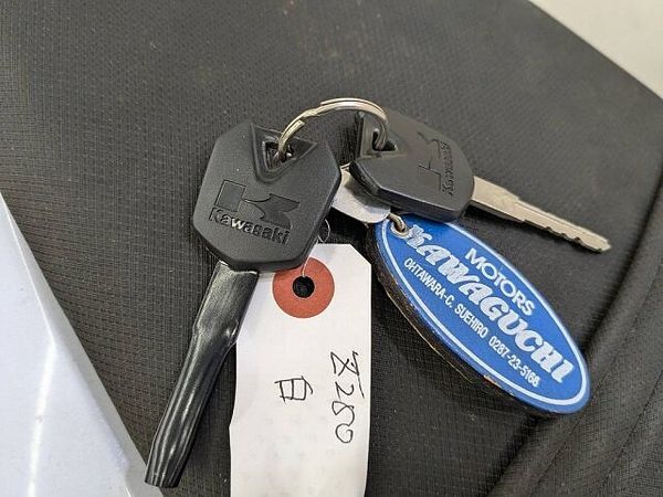 カワサキ Z250 Z250 2014年モデル 乗りやすいストリートファイター 9