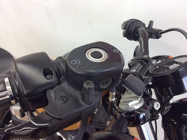 ハーレーダビッドソン XL1200X SPORTSTER FortyEight XL1200X ★☆2016年モデル 純正オプションセキュリティ スカルフットペグ ヒート 9