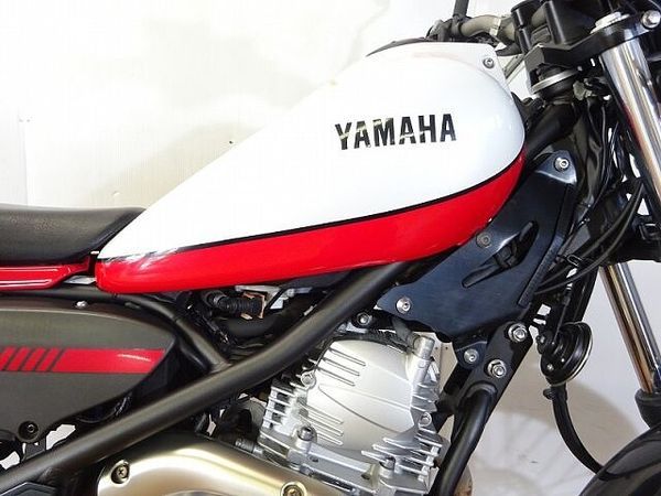 ヤマハ トリッカー トリッカー 2009年モデル TY-Sキット装着車 8